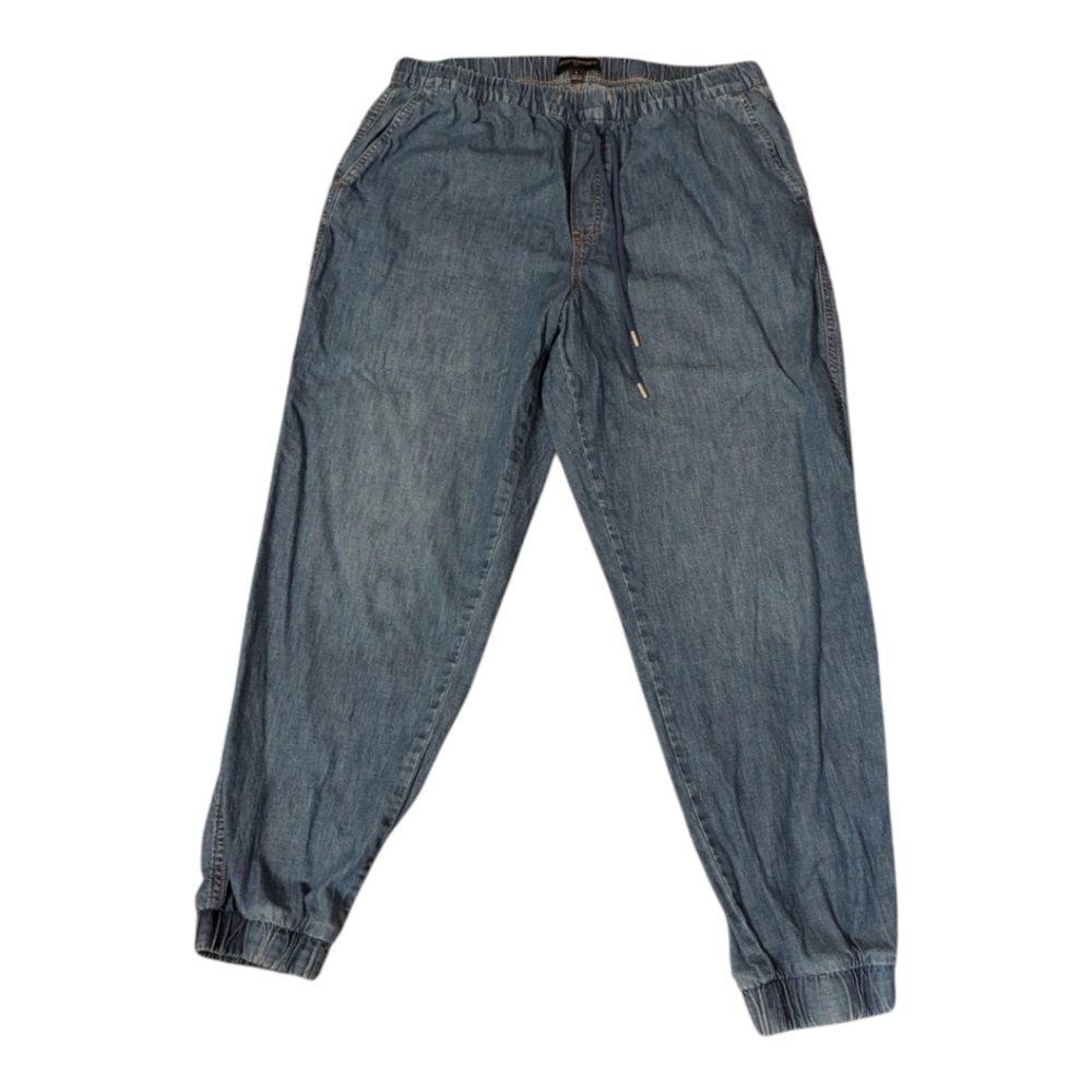 Banana Republic Light Blue Denim Jogger Pants